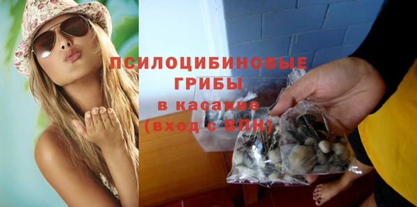 стаф Арсеньев