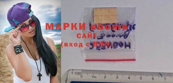 сатива Аркадак