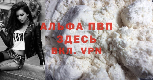 стаф Арсеньев