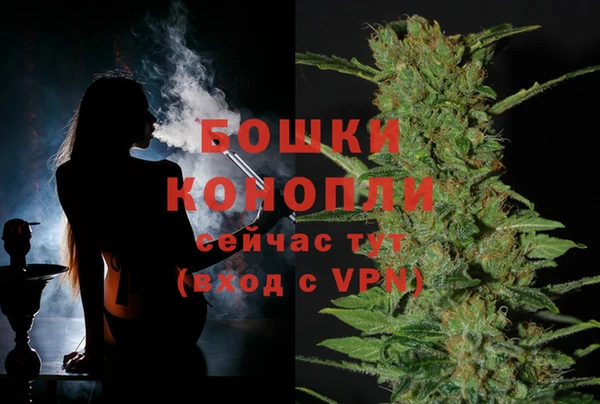 сатива Аркадак