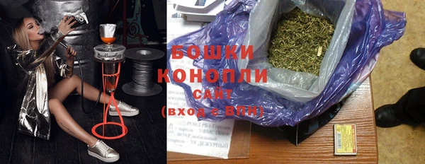 сатива Аркадак