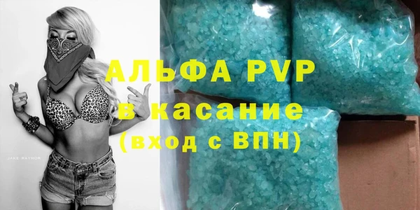 сатива Аркадак