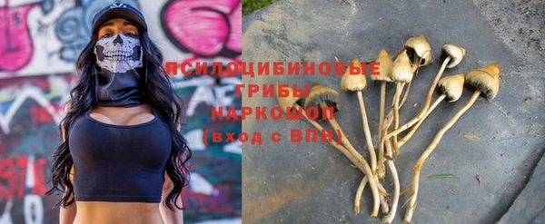 стаф Арсеньев