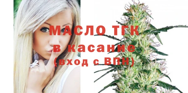 стаф Арсеньев