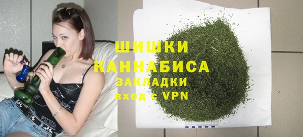 стаф Арсеньев