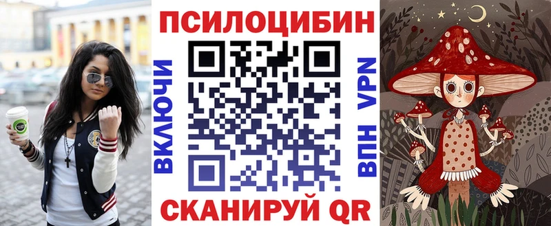 гидра онион  Можайск  Галлюциногенные грибы Psilocybe 